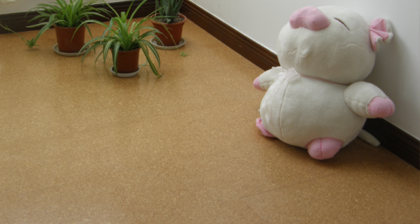 軟木地板的優(yōu)勢(shì)是什么，中林帶你了解一下！